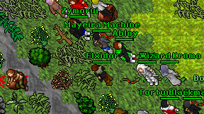 Flxidor on screen