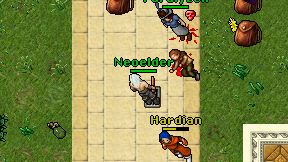 Neoelder on screen