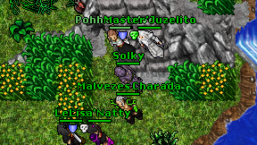 Solky on screen