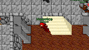Noovice on screen