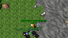 Havok-sorcerer on screen