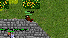 Bunal on screen