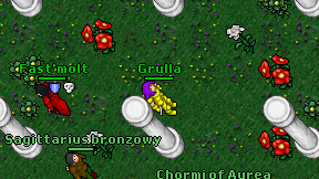 Grulla on screen