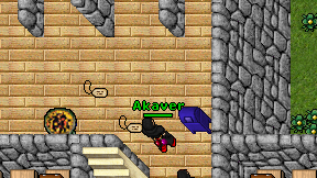 Akaver on screen