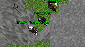 Taranter on screen