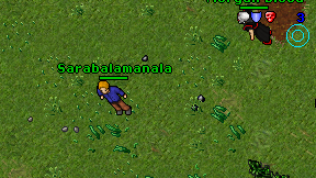 Sarabalamanala on screen