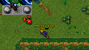 Merrotoe on screen
