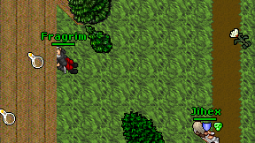 Fragrim on screen
