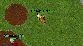 Sheila'Heck on screen