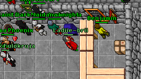 Ladiie-brii on screen