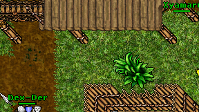 Xyamaru on screen