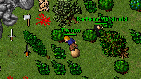 Tauon on screen