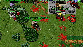 Maly Pilkarz on screen