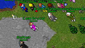 Calm Brutal on screen
