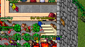 So'druidinha on screen