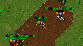Paules on screen