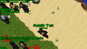 Haldir Tuk on screen