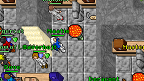 Maatie on screen