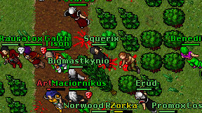 Squerix on screen