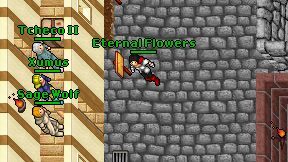 Eternal Flowers on screen