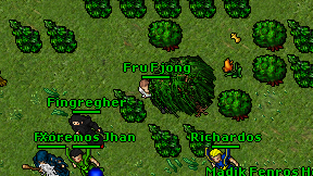 Fru Fjong on screen