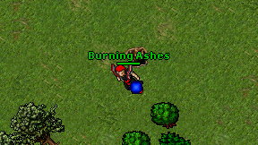 Burning Ashes on screen
