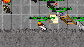 Shian Knights on screen