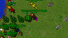 Spencorish Mage on screen