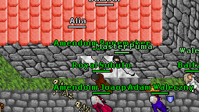 Amendoim Runemaker on screen