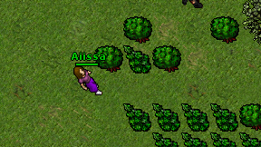 Aiissa on screen