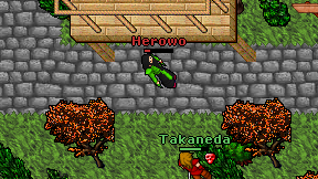 Herowo on screen