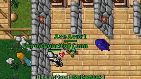 Ave Avort on screen