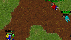 Renusi on screen