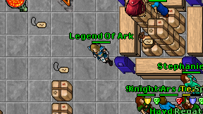 Legend Of Ark on screen