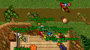 Gar'ev Druid on screen