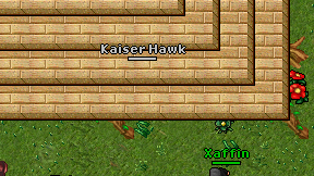 Kaiser Hawk on screen