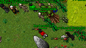 Xefewin Il on screen