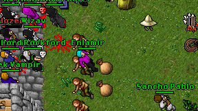 Enlamir on screen