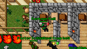 Parkour Pall on screen