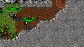Poochinni on screen