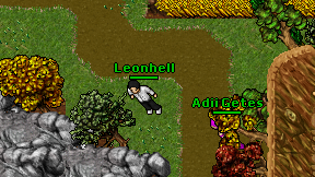 Leonhell on screen