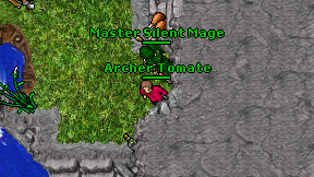 Archer Tomate on screen