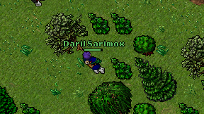 Daril Sarimox on screen