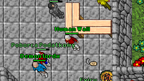 Human Wall on screen