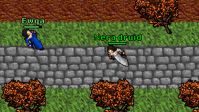 Nera druid on screen