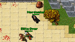 Elite Over on screen