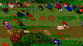Edus Shia on screen