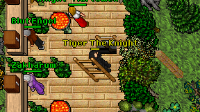 Tiger The Knight on screen