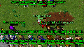 Naplamed on screen