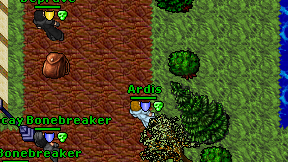 Ardis on screen